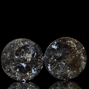 1” (25mm) Petrified Palm Root ear plugs