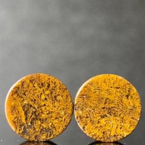 以下が含まれることがあります： 黄色と茶色の丸い瑪瑙のプラグが2つ。プラグは渦巻き模様になっています。