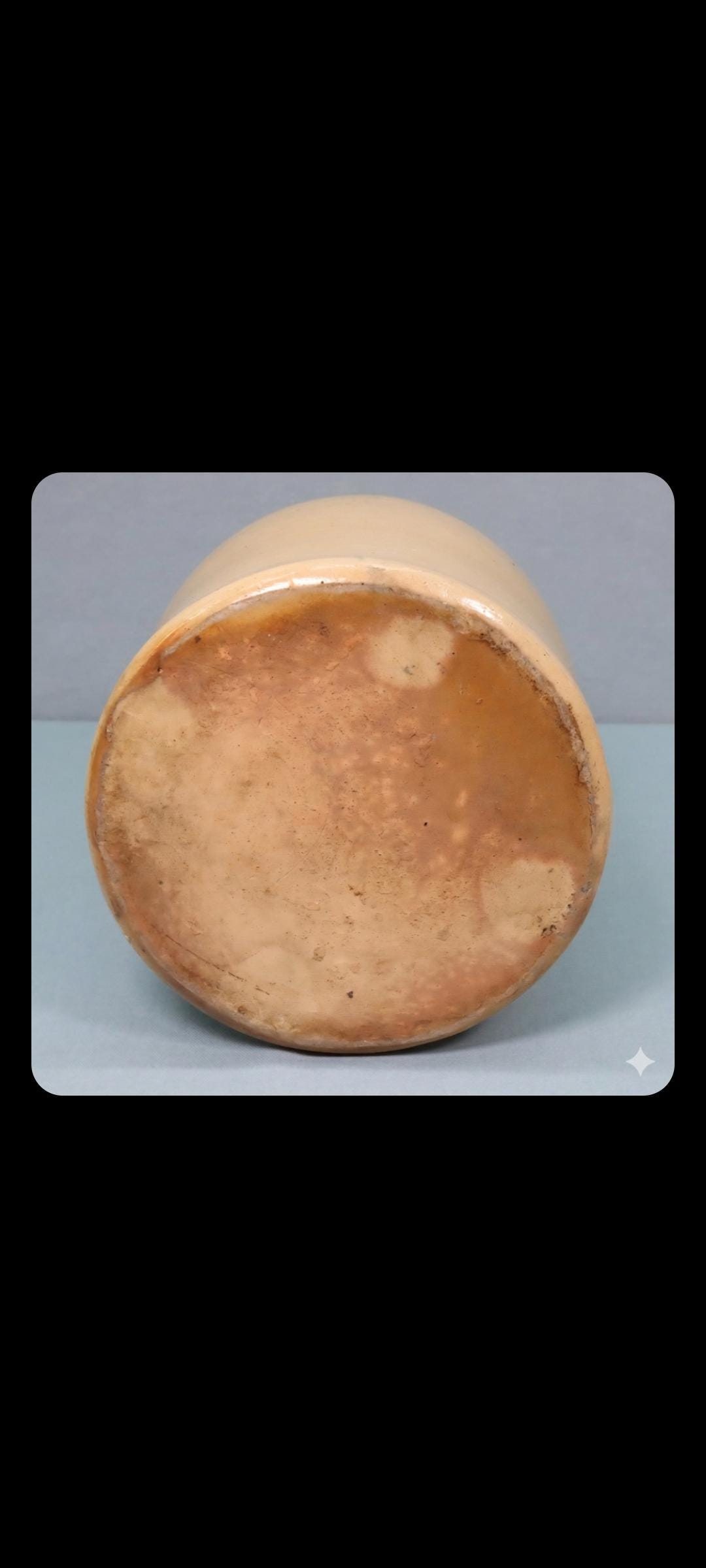 Antique 19th Century Ottman Bros. Fort Edward NY Salt-glazed