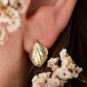 Könnte beinhalten: Ein goldener Ohrring in Blattform mit einem detaillierten, strukturierten Design. Der Ohrring wird am Ohr einer Person mit braunen Haaren getragen.