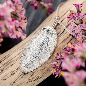Pendant &#39;Silver Sage&#39;, 925 silver, chain pendant, chain, silver chain, leaves, structure, real leaf, nature, sage, silver pendant, caliria
