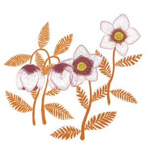 Helleborus bloem natuur wenskaart enkel 13,5 x 13,5 cm