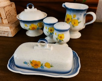 Mikassa Amy Country Club Dinnerware Accessories | Butter Dish with Lid | Sugar Dish with Lid | Creamer | Salt and Pepper Shakers.