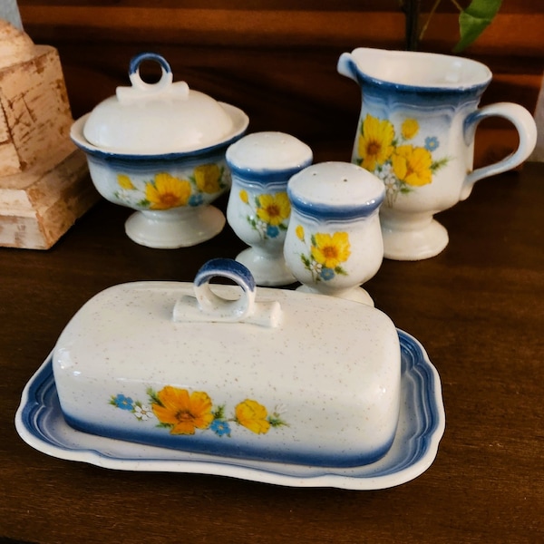 Mikassa Amy Country Club Dinnerware Accessories | Butter Dish with Lid | Sugar Dish with Lid | Creamer | Salt and Pepper Shakers.