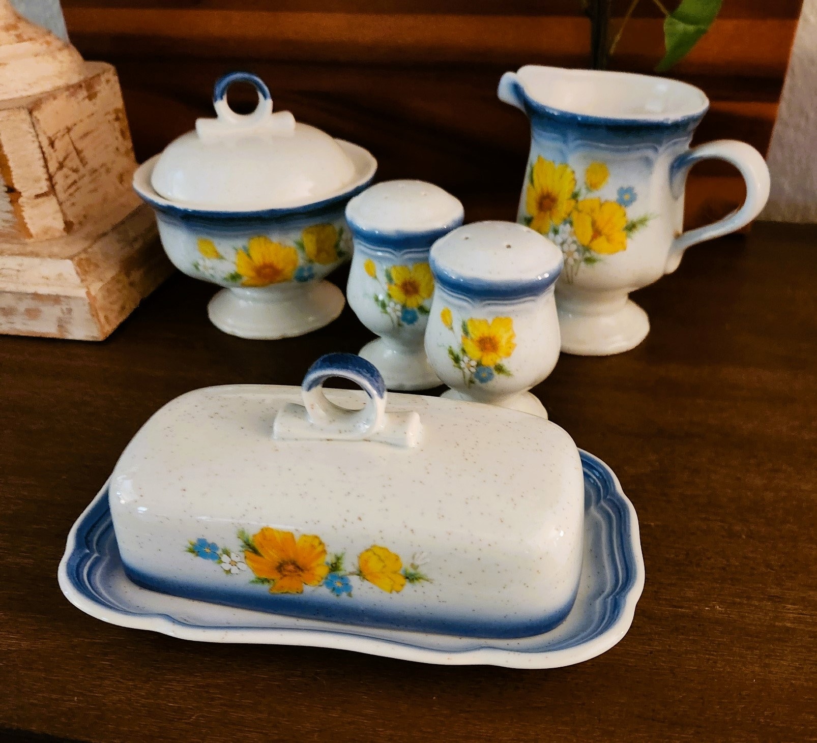 Mikassa Amy Country Club Dinnerware Accessories | Butter Dish With
