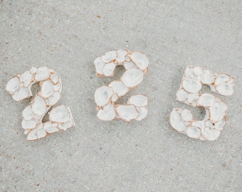 Oyster Shell Area Code
