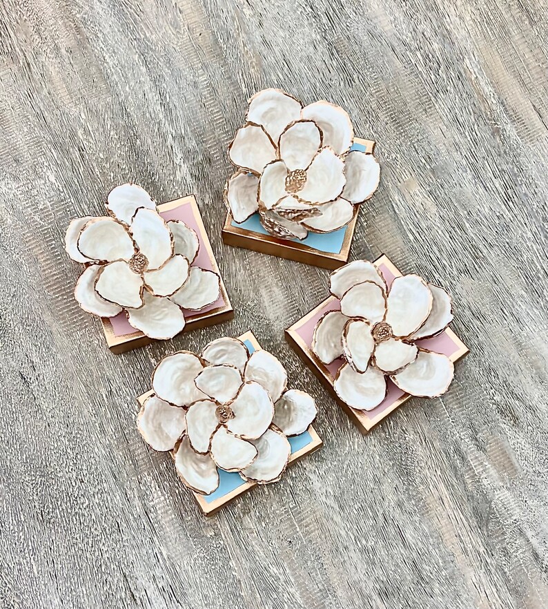 Oyster Shell Magnolia - Etsy