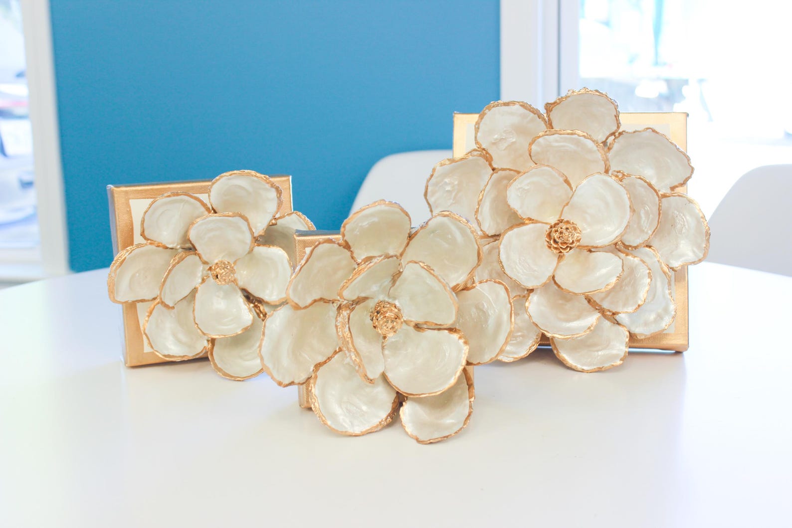 Oyster Shell Magnolia - 6x6x2 inches