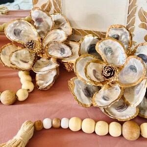 Magnolia Coda Shell main image 0