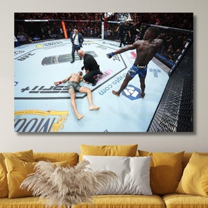 May include: A mixed martial arts fight in a ring with a fighter on the ground and another fighter standing over him. The ring is surrounded by a cage and there are spectators in the background.