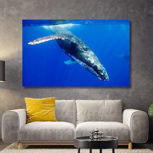 Big Blue Whale Print Canvas Wall Art For Room Whale Modern Canvas Whale Home Design Wall Decor Underwater Life Wall Art Set Whale Art Gift