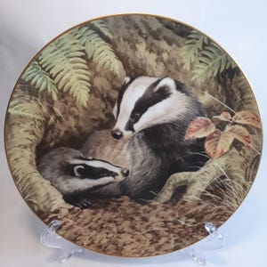 Vintage Porcelain Plate &quot;Budgers Nestle under June Ferns&quot; by The Collectors Studio, The Forest Year Collection, Decorative Plate