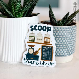 May include: A sticker with the word "SCOOP" at the top. Below are three jars labeled "Alfalfa Pellets", "Electrolytes", and "Beet Pulp". A scale, scoop, and feed plan are also featured. The text "there it is" is at the bottom.
