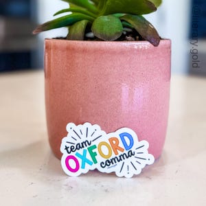 May include: A small succulent plant in a pink ceramic pot. A white sticker with the words "team OXFORD comma" in colorful letters is adhered to the pot. The sticker has a burst design around the text.