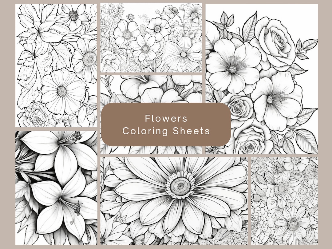 Printable Floral Coloring Sheet, Flower Printable Color Sheet ...