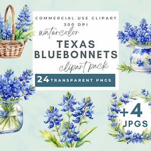Watercolor Bluebonnet Clipart, Watercolor Bluebonnets Spring Clipart, Texas Bluebonnet  PNG Images, Texas Wildflower Floral Digital Art