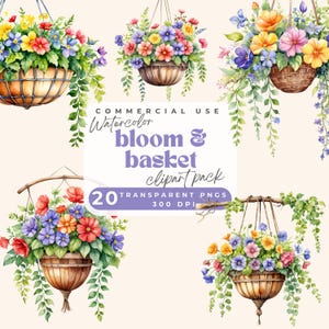 Clipart fiori in vasi sospesi, Clipart bellissimo cesto sospeso, Clipart fiori sospesi Felce Piante PNG, Clip art cesto sospeso colorato