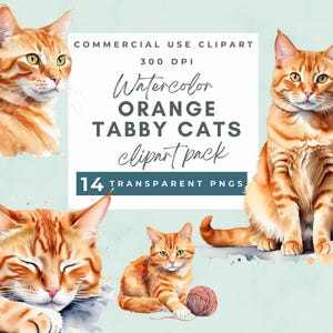 Orange tabbykatt Clipart, akvarell orange katter Clipart PNG-format, orange akvarell katt clipart, omedelbar nedladdning för kommersiellt bruk