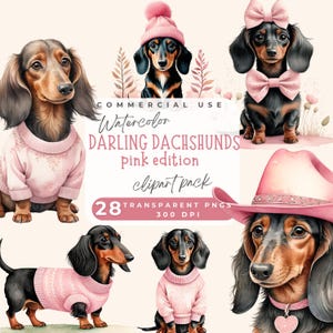 Long hair dachshund clipart, Dachshund PNG long haired dachshund PNG Dachshund dog clipart bundle, dachshund with pink bow & pink cowboy hat