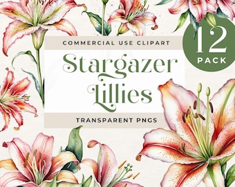 May include: A digital collection of 12 Stargazer lilies clipart images in transparent PNG format. The set features watercolor-style illustrations of pink and white lilies with green stems and leaves, arranged around a central text box.