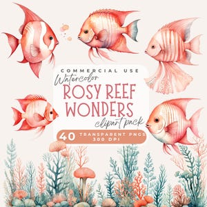 Pink angel fish clipart, colorful fish clipart, Angel Fish Clip art, Fish Png, Angelfish, Aquarium Clipart Under The Sea Png Aquatic Animals
