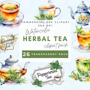 Acuarela Clipart Té de hierbas, clip art de té saludable, gráficos de bienestar, medicina herbaria, gráficos imprimibles, tazas de té de hierbas Uso comercial