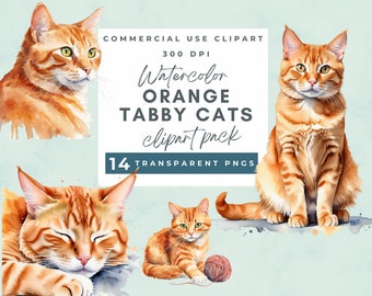 Orange Tabby Cat Clipart, Watercolor Orange Cats Clipart PNG format, Orange Watercolor Cat clipart, instant download for commercial use