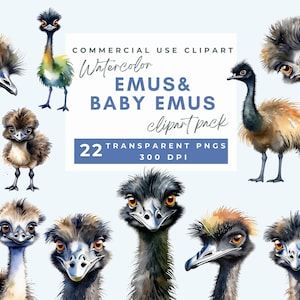 Emu Clipart, Emu Bird Clipart, Acuarela Australia Bird Clip Art Imprimible Animales Salvajes PNG Aves no voladoras Animales australianos Diario basura