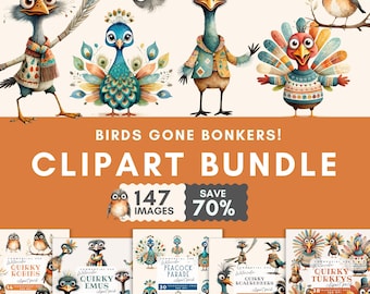 Quirky bird clipart bundle, Super Cute Quirky Bird Clipart, Quirky Bird Clip Art, Cute Caricature Birds, Funny Birds PNG, Scrapbooking