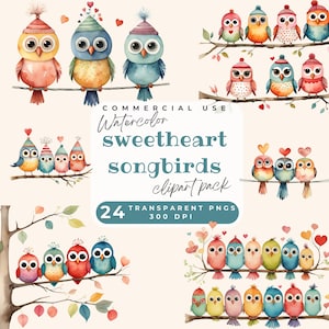 Schatz Singvögel Clipart, süße Vögel in der Liebe auf einem Draht PNG Liebesvögel auf einem Ast Clip Art, Aquarell Vögel sitzen auf einem Ast Clipart