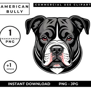 Puede incluir: Ilustración digital de la cara de un perro American Bully, con pelaje negro y gris y una raya blanca. La imagen incluye el texto "AMERICAN BULLY", "COMMERCIAL USE CLIPART", "INSTANT DOWNLOAD" y "PNG - JPG".