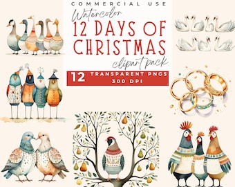 Clipart de los 12 días de Navidad, pájaros cantores, doce días de Navidad, PNG transparente digital, PNG transparente, clipart de acuarela con temática navideña