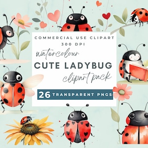 Clipart coccinella colorata, clipart coccinella carina, PNG coccinella carina colorata, clipart coccinella acquerello, PNG trasparenti, uso commerciale