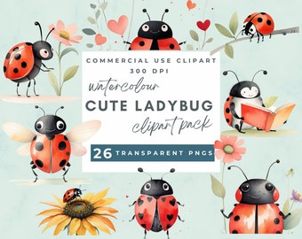 Colorful Ladybug Clipart, Cute Ladybug clipart, Colourful Cute Ladybird PNG, Watercolor Ladybug Clipart, transparent PNGs, Commercial Use