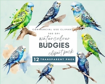 Budgies clipart, Watercolor budgerigar, Watercolor budgie clipart, Digital download, Paper craft, junk journals, stationery, wall art, cards