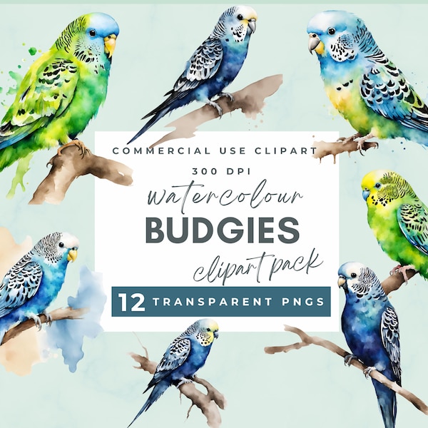 Budgies clipart, Watercolor budgerigar, Watercolor budgie clipart, Digital download, Paper craft, junk journals, stationery, wall art, cards