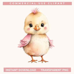 Cute pink baby chick clipart, Easter clipart PNG, Boho Chick Clipart, Chick Nursery Clipart Baby Shower invite Nursery Decor PNG and JPG
