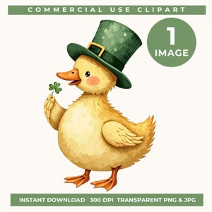 Lucky duck Clipart PNG, St Patrick's Day Watercolor Clip Art,  Irish Images, Lucky Holiday Graphics,  Digital Download, Commercial use