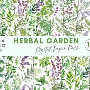 Carte digitali per acquerelli erboristici, modelli di erbe botaniche, kit di carta digitale per album di ritagli di erbe, sfondo per diario spazzatura, stampabile per erbologia