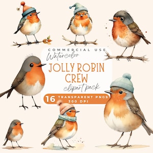 Jolly Robin Crew clipart, Cute Robins Clip Art PNG, Cute Christmas Robins Clipart Set PNG, Festive Robin Designs, Seasonal Holiday Images