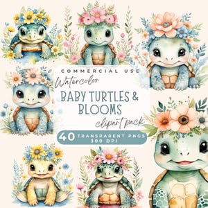 Baby Schildkröte mit Blumen Clipart, Niedliche Baby Schildkröte Clipart, Aquarell Floral PNG PNG, Niedliche Meeresschildkröte Clipart Karte machen Kinderzimmer Dekor