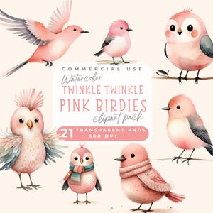 Imágenes prediseñadas de pájaro rosa lindo Twinkle Twinkle, imágenes prediseñadas de pájaro de acuarela rosa, imágenes prediseñadas de baby shower, invitación de cumpleaños, arte de pared de guardería pájaro caprichoso