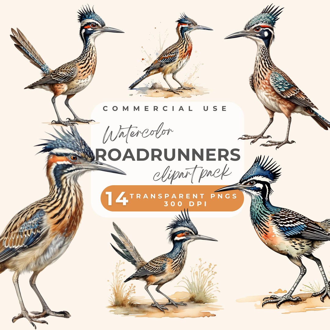 Roadrunner Clipart, Watercolor Roadrunner Clip Art, Running Roadrunners ...