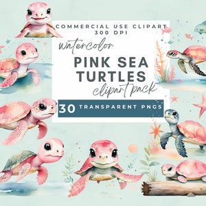 Acuarela Tortuga Clipart Rosa Acuarela Tortuga Marina Clipart Lindo Bebé Tortuga Clip art, Animales del Océano, Pngs Transparentes, Imprimible