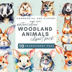 Woodland Animals Watercolor Clipart, Forest Animals Clipart Cute Woodland Animals, Nursery Decor, Woodland Baby Shower Clipart, Bear Fox Owl