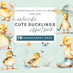 Mignon bébé caneton clipart, clipart canetons, clipart bébé canard, canard aquarelle, illustration numérique, usage commercial, téléchargement numérique