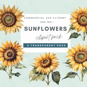 Sunflower PNG, Watercolor Sunflower Clipart, Floral PNG,  Flowers Clipart, Wedding Invitation Clipart,  Transparent Background PNG, Flower