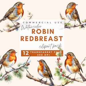 Clipart Noël rouge-gorge charme vacances d'hiver Robins à poitrine rousse vibrants, parfait pour une décoration saisonnière Cartes de voeux et travaux manuels PNG transparent