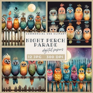 Night perch parade digital papers, Quirky birds clipart printable papers JPG, Quirky Bird Clipart 12 High Quality JPGs Silly Birds Clip Art