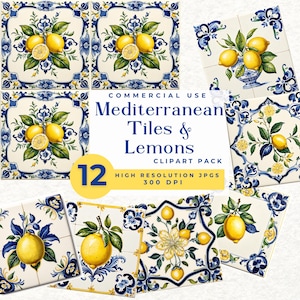 Mediterrane Fliesen Clipart, Vintage Zitrone Delft, Blaue und Gelbe Fliese Clipart, Porzellanfliesen, Citrus Art, Delftware PNG, Rustikales Dekor